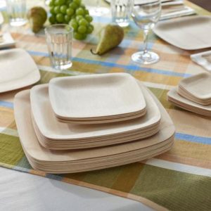 best eco-friendly disposable plates That Don't Cost the Earth - VerTerra  Dinnerware