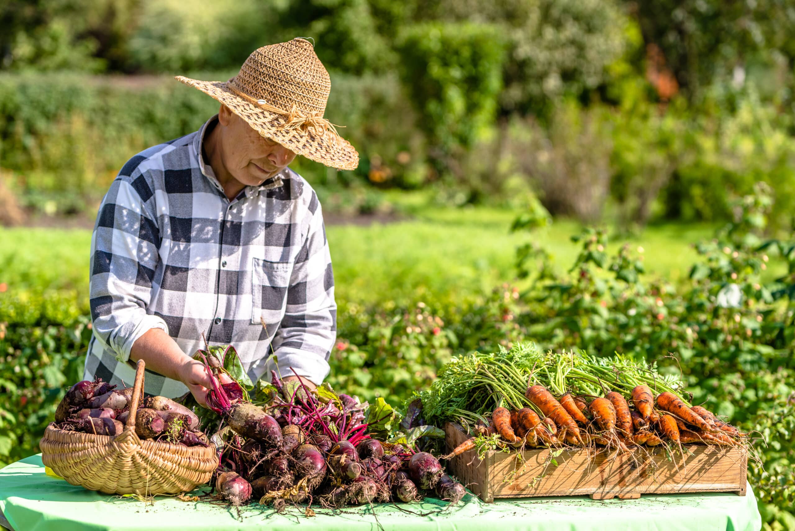 Non Organic Farming