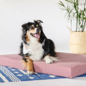 Grain Sack Dog Bed Cover